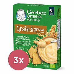 3x GERBER Organic Kaše nemléčná s příchutí sušenky 200 g